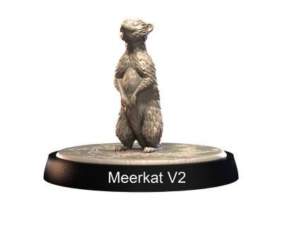 Meerkats