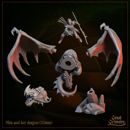 Wingforge - Mira and her Dragon