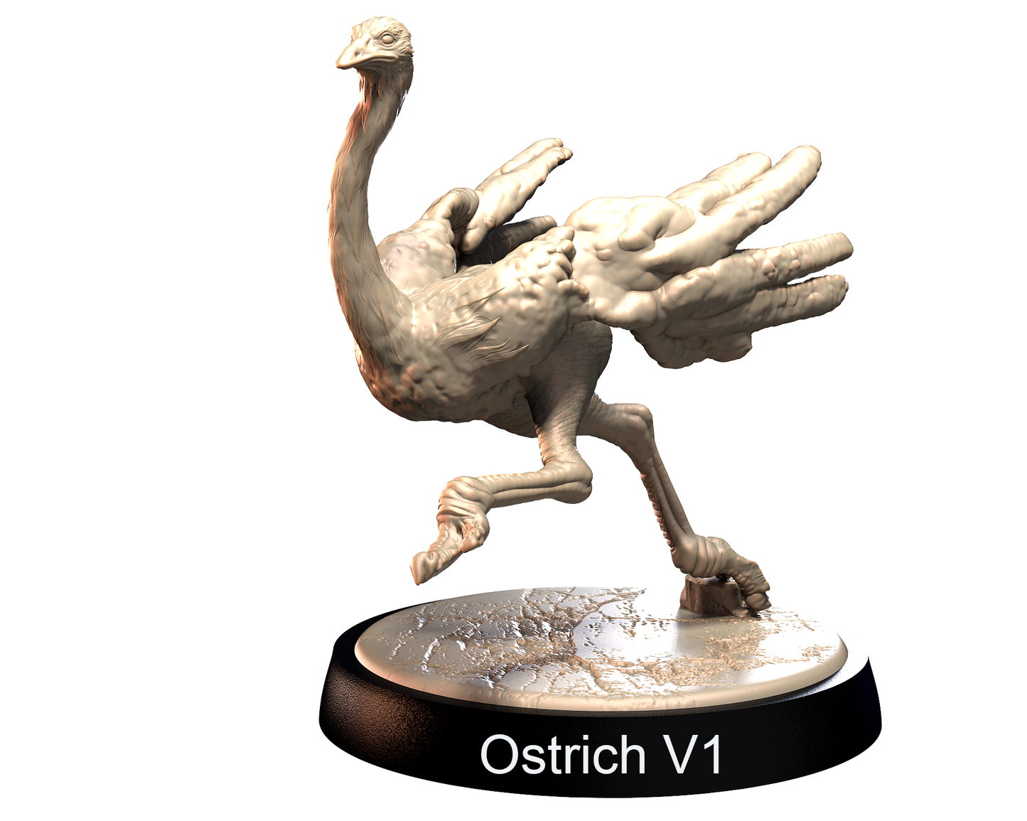 Ostrich