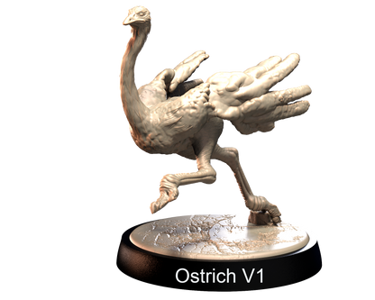 Ostrich