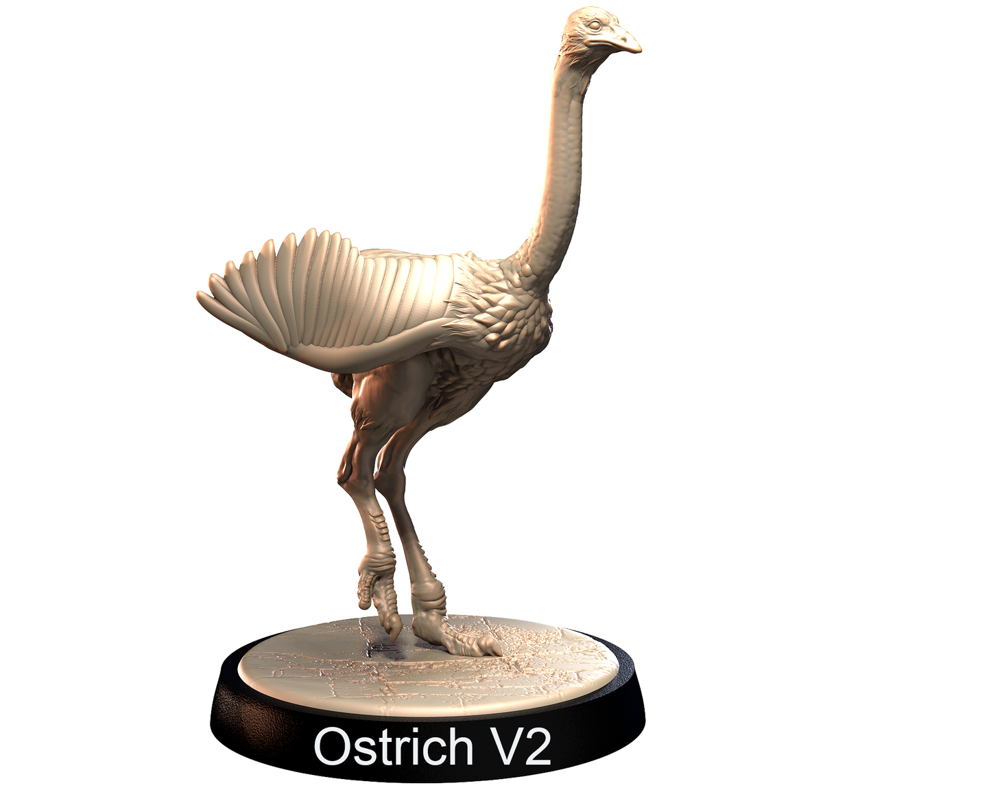 Ostrich