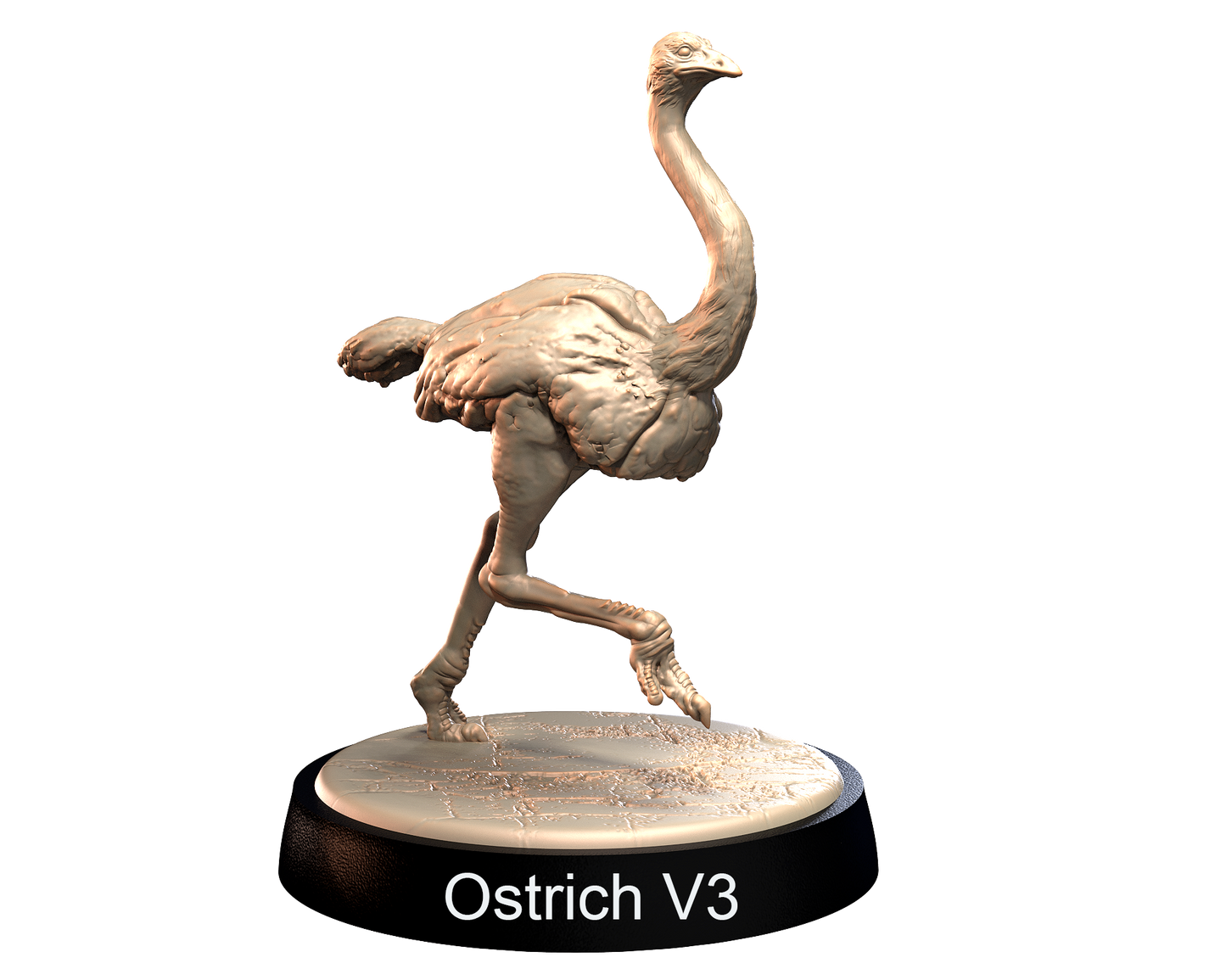 Ostrich