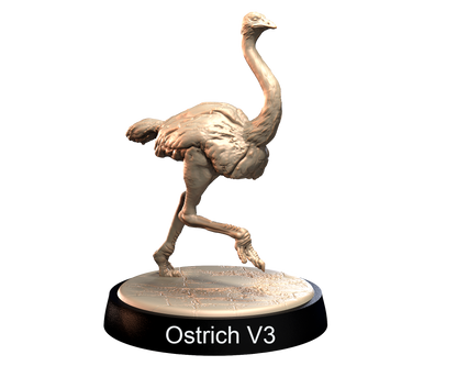 Ostrich