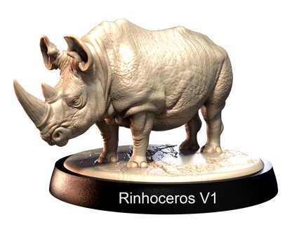 Rinhoceros