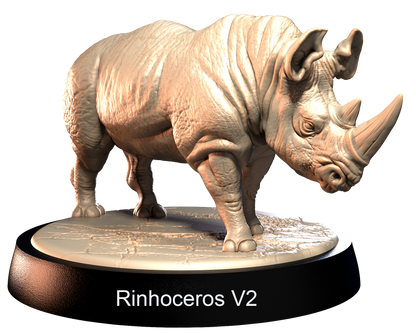 Rinhoceros