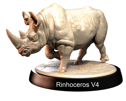 Rinhoceros