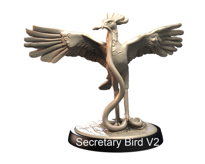 Secretary Birds