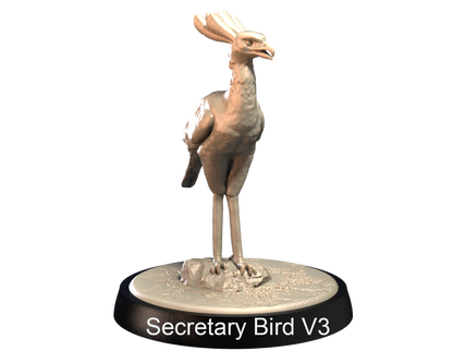 Secretary Birds