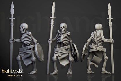 Skeleton Spearmen Rank & File