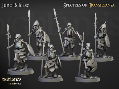 Skeleton Spearmen Rank & File
