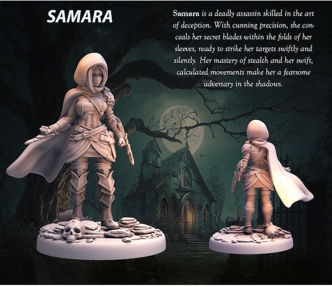Tabletop Heroes - Samara the Assassin