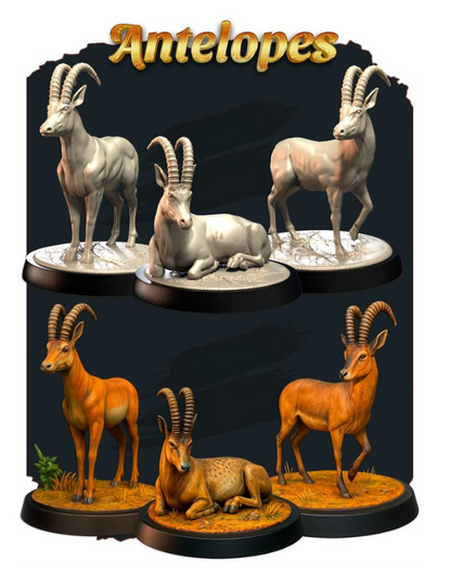 Antelopes