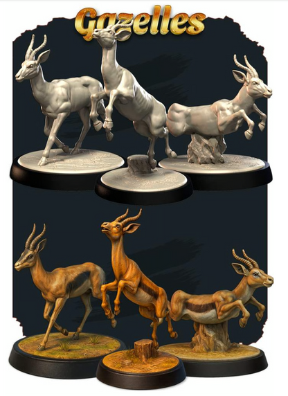 Gazelles
