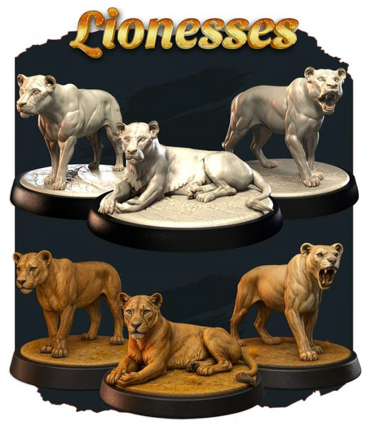 Lionesses