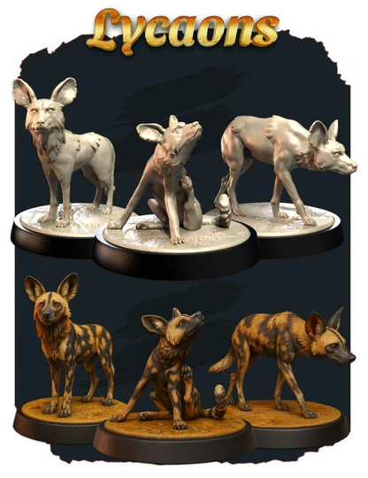 Lycaons
