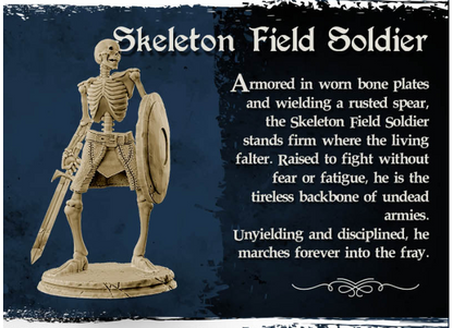 Skeleton Field Soldier