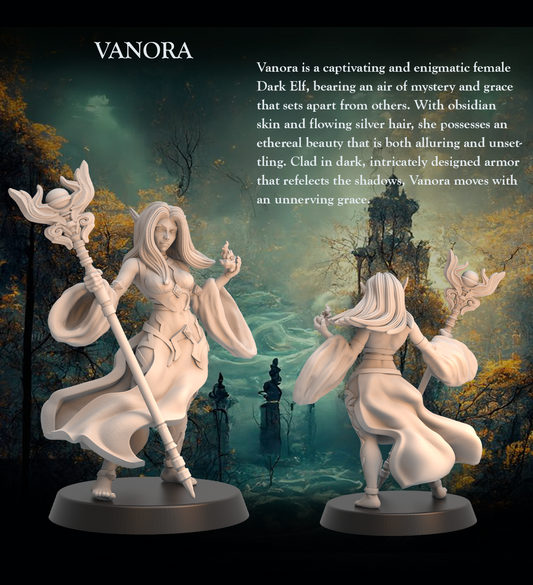 Tabletop Heroes - Vanora the Dark Elf