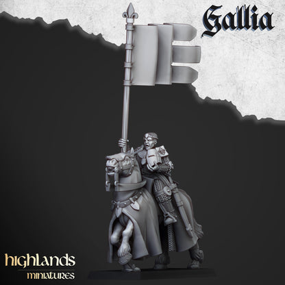 Young Knights of Gallia with Command