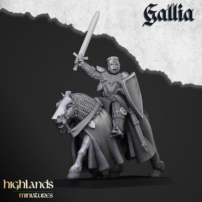 Young Knights of Gallia with Command