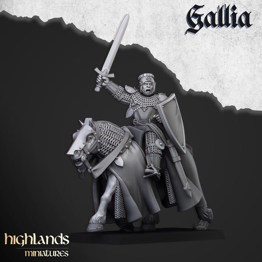 Young Knights of Gallia with Command