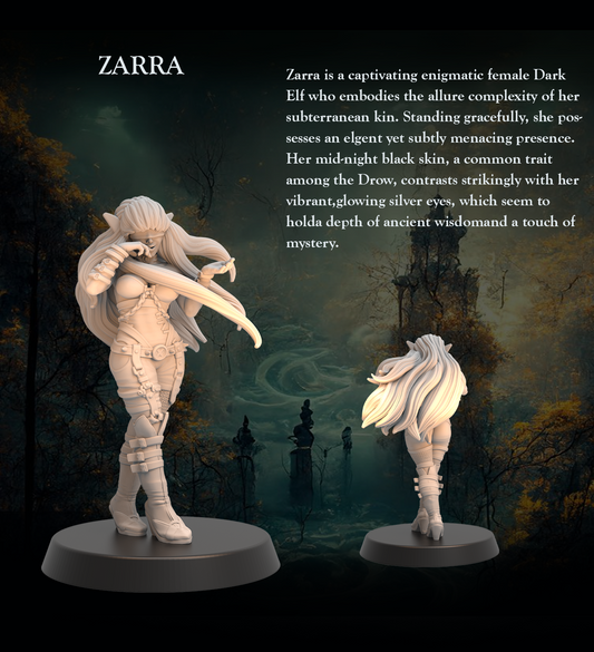 Tabletop Heroes - Zarra the Dark Elf