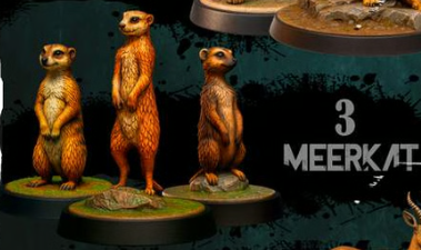 Meerkats
